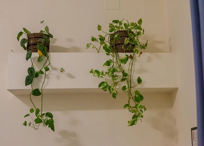 & Breakfast Nel Cuore Di 파엔차